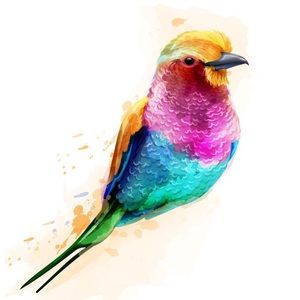 Little Birdie’s Boutique